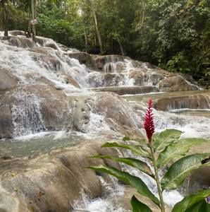 Meet your Posher, Joanne